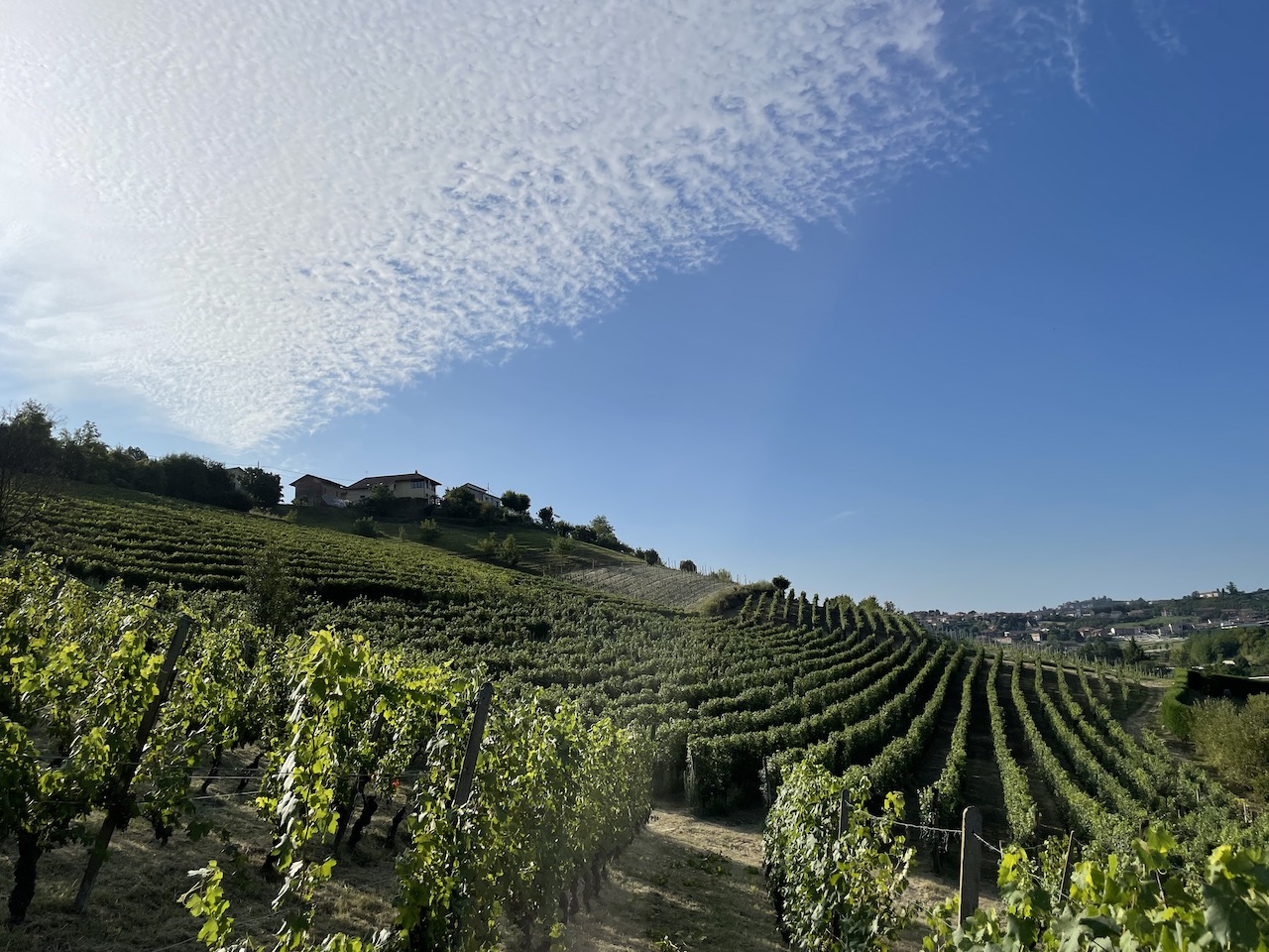 Rossotti Gabriele — foto 3